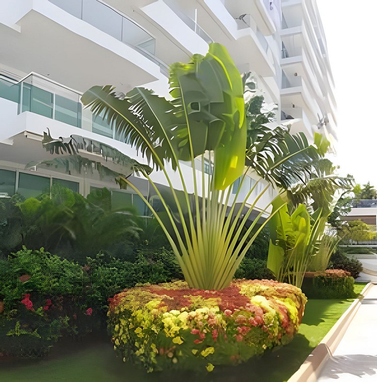 Apartamento en Playa Dormida 1